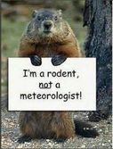 Groundhog with sign